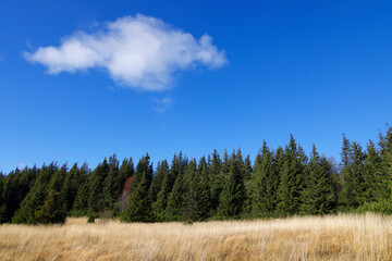Alpine landscape in Piatra Craiului Mountains, Romania, Europe
