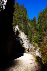  landscape in Zarnesti Gorges, Piatra Craiului Mountains, Romania, Europe