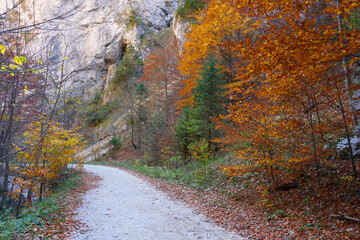 Fototapeta premium landscape in Zarnesti Gorges, Piatra Craiului Mountains, Romania, Europe
