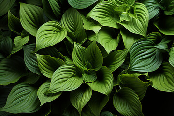 green leaves background, generative ai, generative,  ai,
