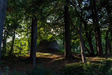 Fototapety na wymiar - Fototapeta24.pl