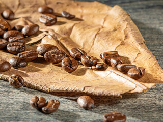 Coffee theme. Roasted coffee beans on dry almond leaf