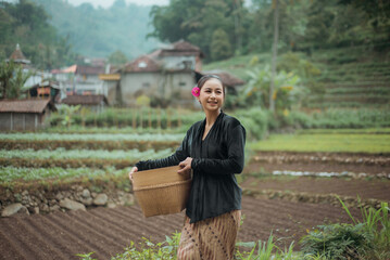 Young woman from an Indonesian village carrying a basket or basket made of woven bamboo. Asian village woman standing and walking in the village rice fields.