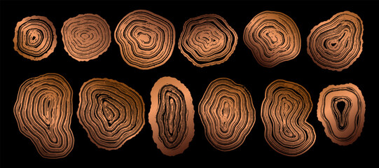 Set of wooden annual rings textures. Luxury golden tree ring patterns. Collection of tree trunk stamps in section isolated on black background. Natural wooden concentric circles - obrazy, fototapety, plakaty