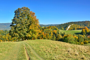 Fototapeta na wymiar Autumn in Pieniny mountains, nice landscape in the hills. Landscape of Polish mountains on a warm and sunny day.
