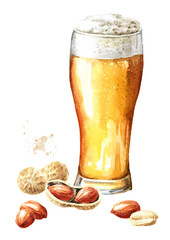 Glass of beer served with peanuts, Hand drawn watercolor illustration isolated on white background - obrazy, fototapety, plakaty