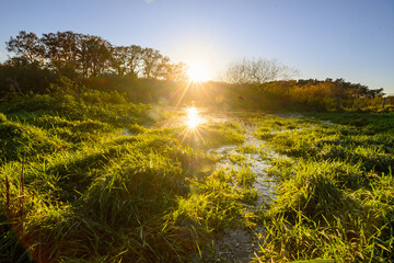 Obraz na płótnie Canvas Doppelter Sonnenstern mit Gras und Wasser im Vordergrund