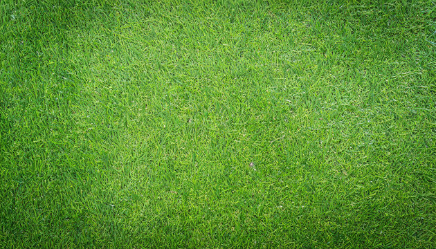 artificial grass texture background