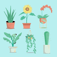 Flat illustration of potted plant