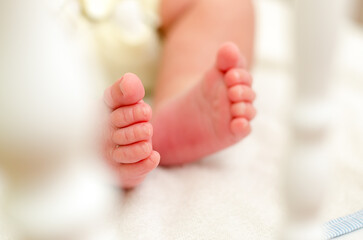 Small baby foot, newborn, motherhood