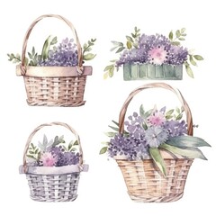 Fototapeta na wymiar set basket with bright bouquet of flowers of watercolors on white background
