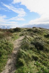 Fototapeta na wymiar Vom Sandweg dieser Düne ist im Westen der niederländischen Nordseeinsel Schiermonnikoog dieser Dünengürtel zu sehen.
