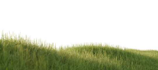 Freshly grown green grass on a picturesque hill. 3D rendering.