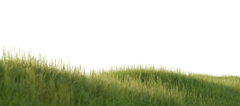 Freshly grown green grass on a picturesque hill. 3D rendering.