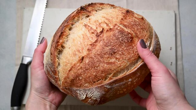 Traditional sourdough bread in female's hands, top view
