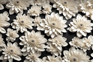 chrysanthemum flowers