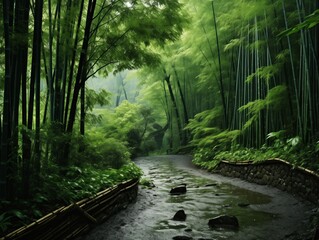 Obraz premium Winding Path Through Lush Bamboo Forest After Rain