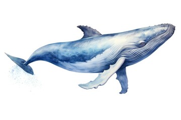 watercolor Whale Humpback whale. Big gray whale Blue whale
