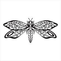 Beautiful butterfly. Decorative stylized insect drawn by hand in black. wings Beetle. Vector illustration on a white background.