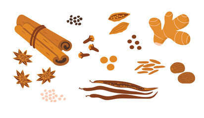 Natural spices set isolated on white. Cinnamon sticks, vanilla beans, ginger, star anise, ginger, cloves, cardamom and nutmeg.For cooking and spice stores sign.Vector flat food illustration.
