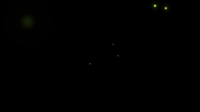 firefly animation with black background overlay