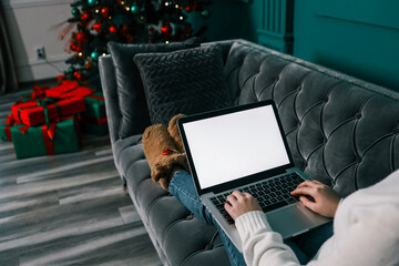 Young woman work on laptop computer with blank display screen with mockup copy space. Modern home...
