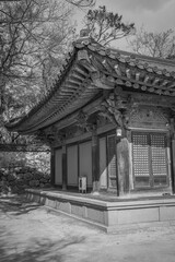 Fototapeta premium Gyeongju, South Korea - November 20 2023 