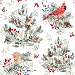 Christmas seamless pattern, robin and cardinal birds, red berries, pine twigs, trees, cones, white background. Vector illustration. Nature design. Season greeting. Winter Xmas holidays - 679873281