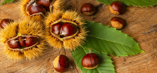 Sweet Chestnuts - Castanea sativa on an old wooden table