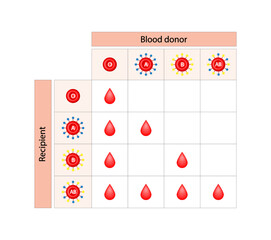 Abo Blood Compatibility Chart. Blood donation, ABO Blood groups droplets., four blood types, A,B, AB and O groups, made up from combinations of the type A and type B antigens. Vector Illustration.