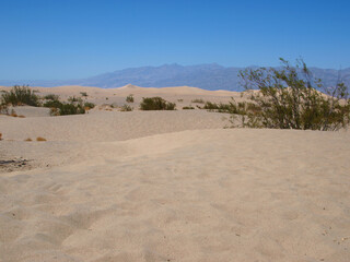Mesquite Dunes in Death Valley National Park, California. 