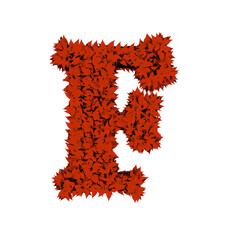 Symbol from red leaves. letter f