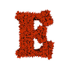 Symbol from red leaves. letter e