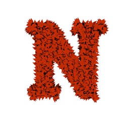 Symbol from red leaves. letter n
