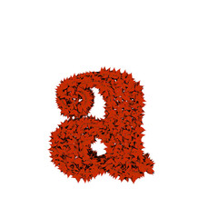 Symbol from red leaves. letter a