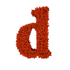 Symbol from red leaves. letter d