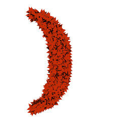 Symbol from red leaves