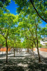 Pedestrian passage tunnel with trees shading Rua dos Jacarand&aacute;s in Parque das Na&ccedil;&otilde;es in Lisbon