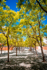 Pedestrian passage tunnel with trees shading Rua dos Jacarandás in Parque das Nações in Lisbon