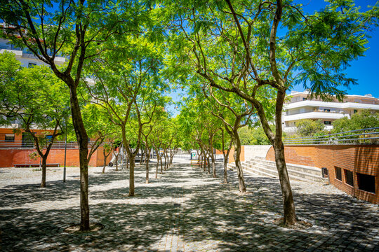 Pedestrian passage tunnel with trees shading Rua dos Jacarand&aacute;s in Parque das Na&ccedil;&otilde;es in Lisbon
