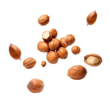 Hazelnuts nuts isolated on white, Hazelnuts pieces, frozen in the air on a white background, canva, cutout, png