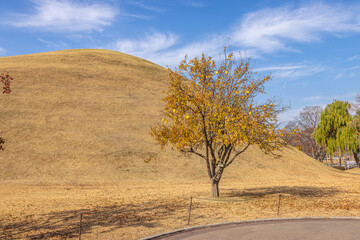 Naklejka premium Gyeongju, South Korea - November 20 2023 