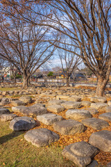 Gyeongju, South Korea - November 20 2023 "Daereungwon Tomb Complex"