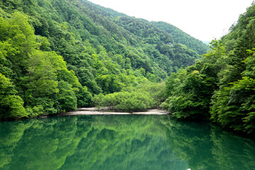 Fototapeta na wymiar Tobira Dam　near Matsumoto 210624-1