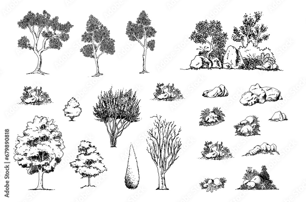 Poster Minimal sketch style cad tree line drawing, Side view, set of graphics trees elements outline symbol for architecture and landscape design drawing. Vector illustration in stroke fill in white.