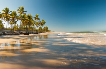 Tropical landscape with beach with coconut trees at sunset - 679891429