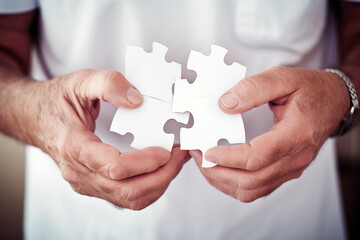 The Puzzle of Memories: Exploring the Fragments of Alzheimer's Through One Person's Perspective