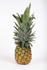 Fototapeta premium Piña