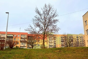 Old apartment blocks on the hill view of a bare tree winter without snow in january