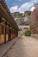 Gyeongju, South Korea - November 20 2023 